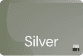 VIM Silver Card